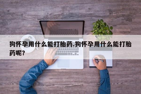 米非米索官方旗舰店狗怀孕用什么能打胎药.狗怀孕用什么能打胎药呢？