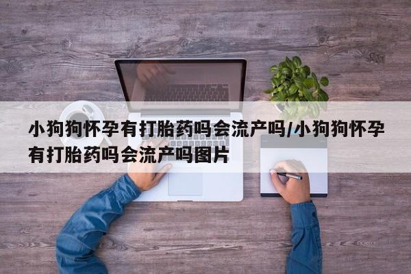 米非米索官方旗舰店资讯 第17页