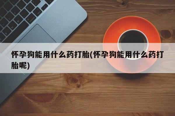 米非米索官方旗舰店怀孕狗能用什么药打胎(怀孕狗能用什么药打胎呢)